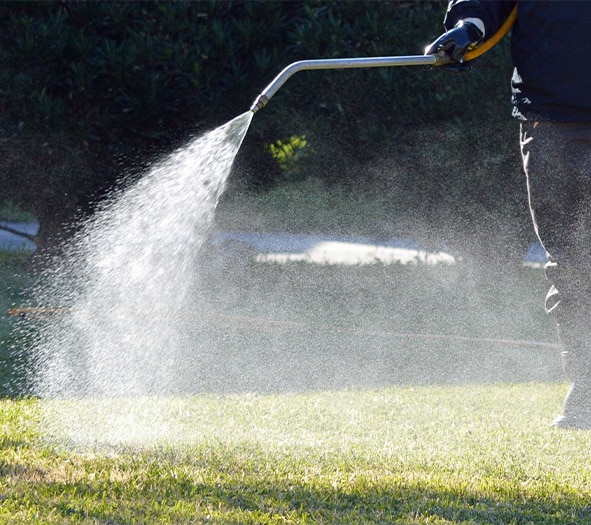 Lawn pest control services in Indianapolis, IN