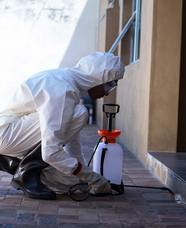 Perimeter bug control services in Indianapolis, IN