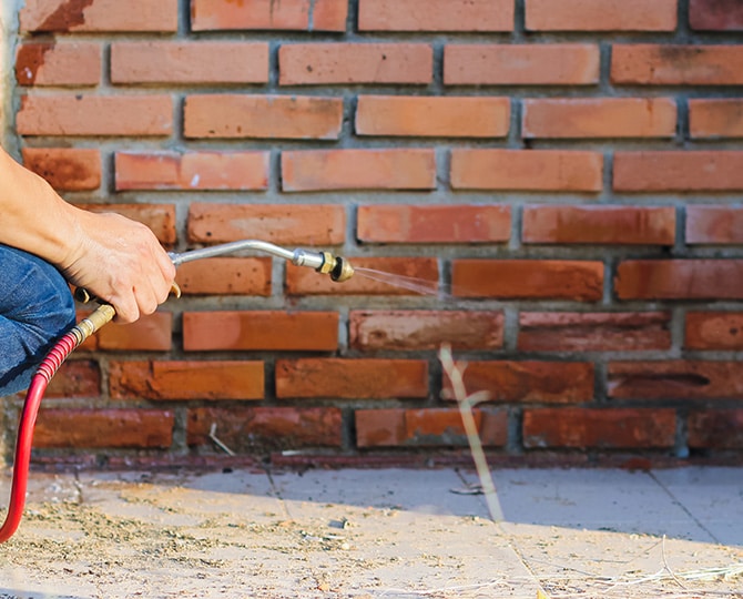Perimeter pest control services
