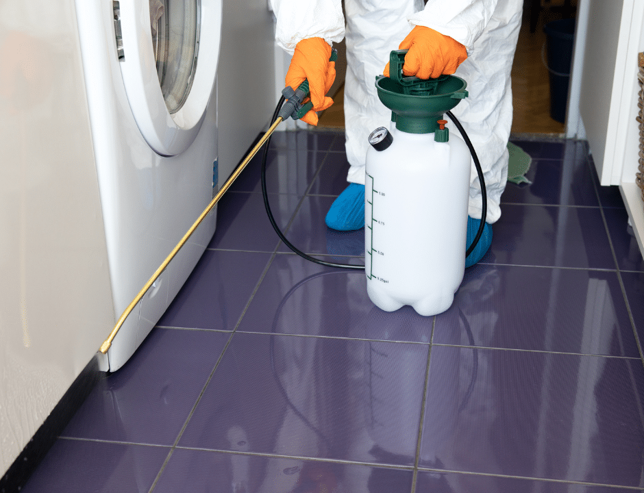 Common Household Pests in Indiana