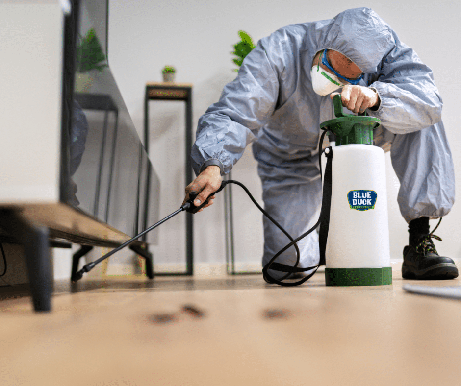 Top Pest Control Provider Near Me