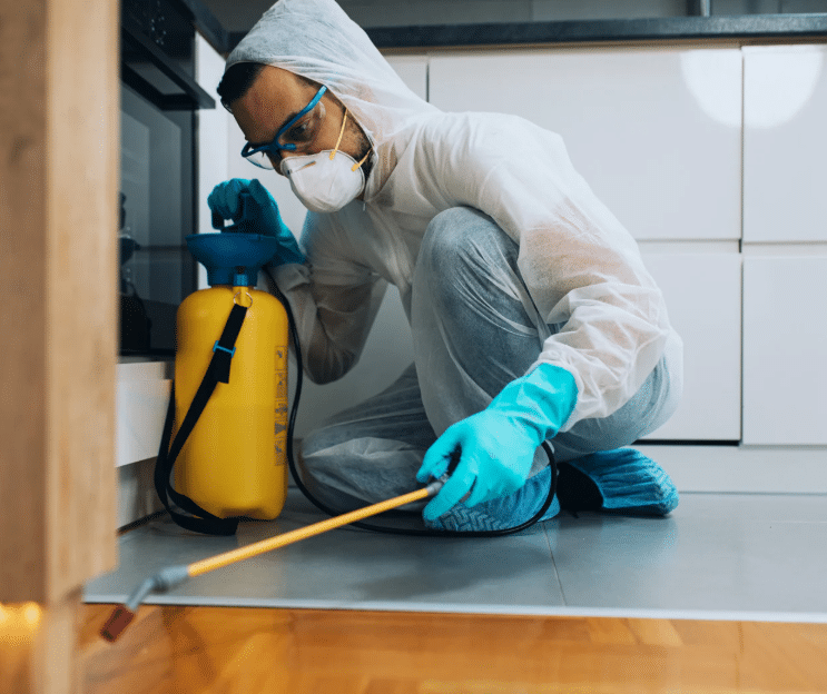Fall Pest Control Indiana