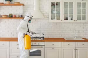 A professional pest control technician wearing safety gear and spraying in a clean Indianapolis kitchen, representing Blue Duck’s trusted home pest services.
