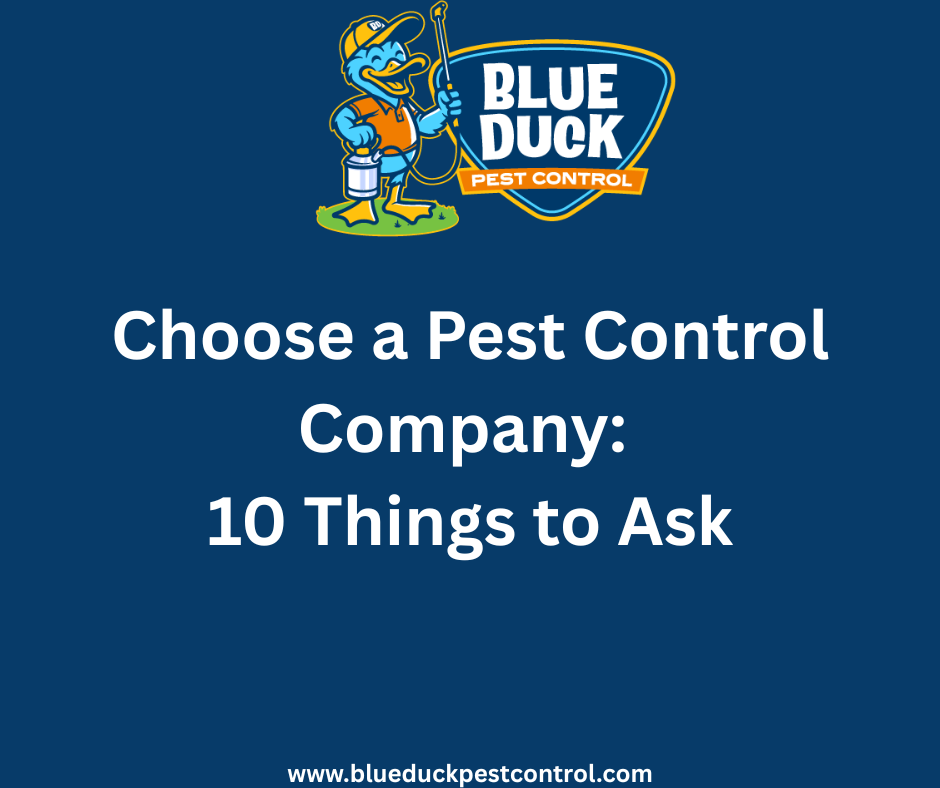 Choose a Pest Control Company: 10 Things to Ask by Blue Duck Pest Control