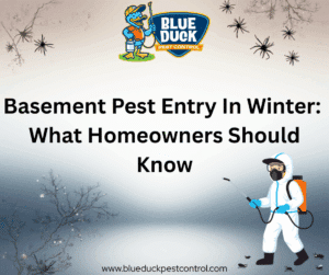 Basement Pest Entry in Winter: What Homeowners Should Know by Blue Duck Pest Control Indianapolis