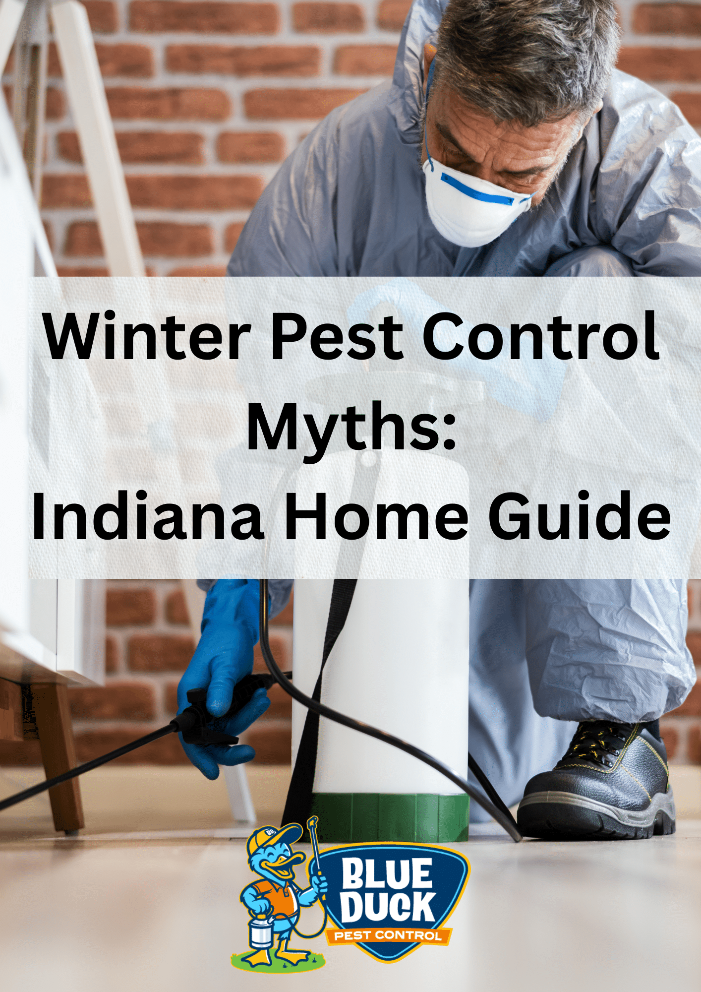 Winter Pest Control Myths: Indiana Home Guide By Blue Duck Pest Control