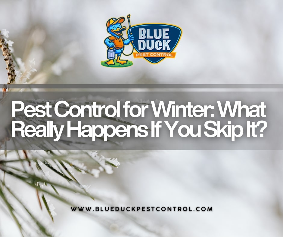 Blue Duck Pest control for winter protecting an Indiana homes from hidden pests beneath dormant grass and cold weather conditions.