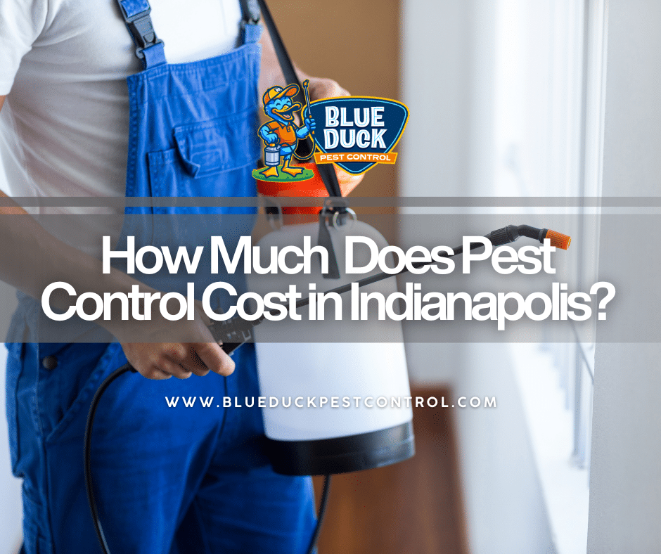 A Blue Duck Pest Control technician holding a specialized tool for precise and safe pest control treatment in an Indianapolis home.