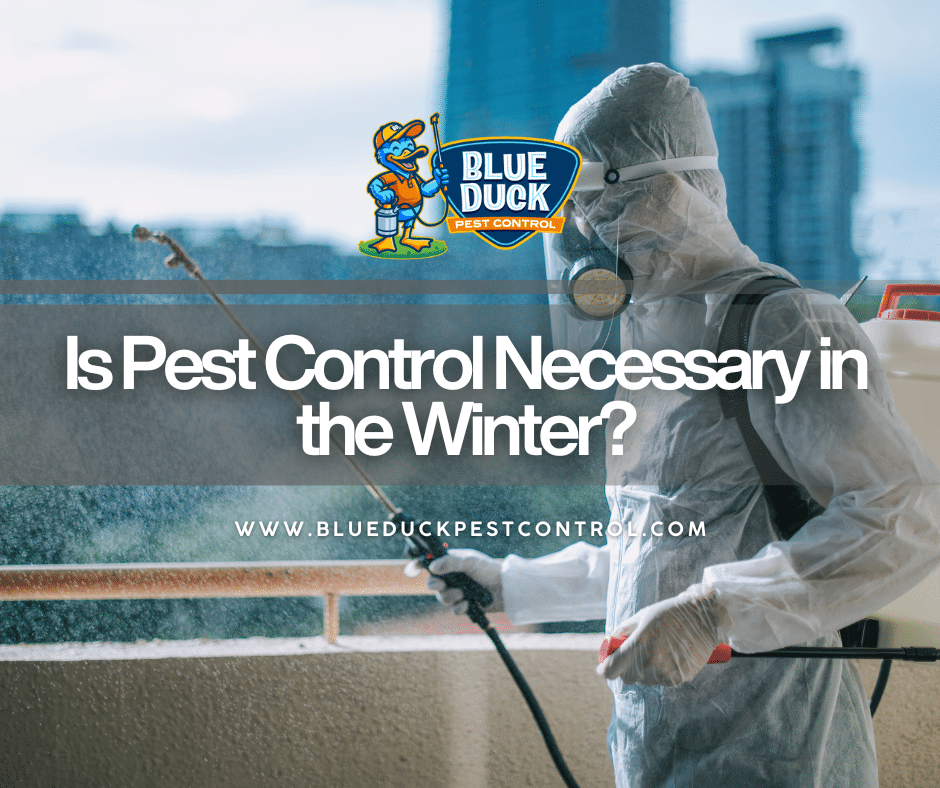 Blue Duck Pest Control technician performing winter interior treatment in Indianapolis home.