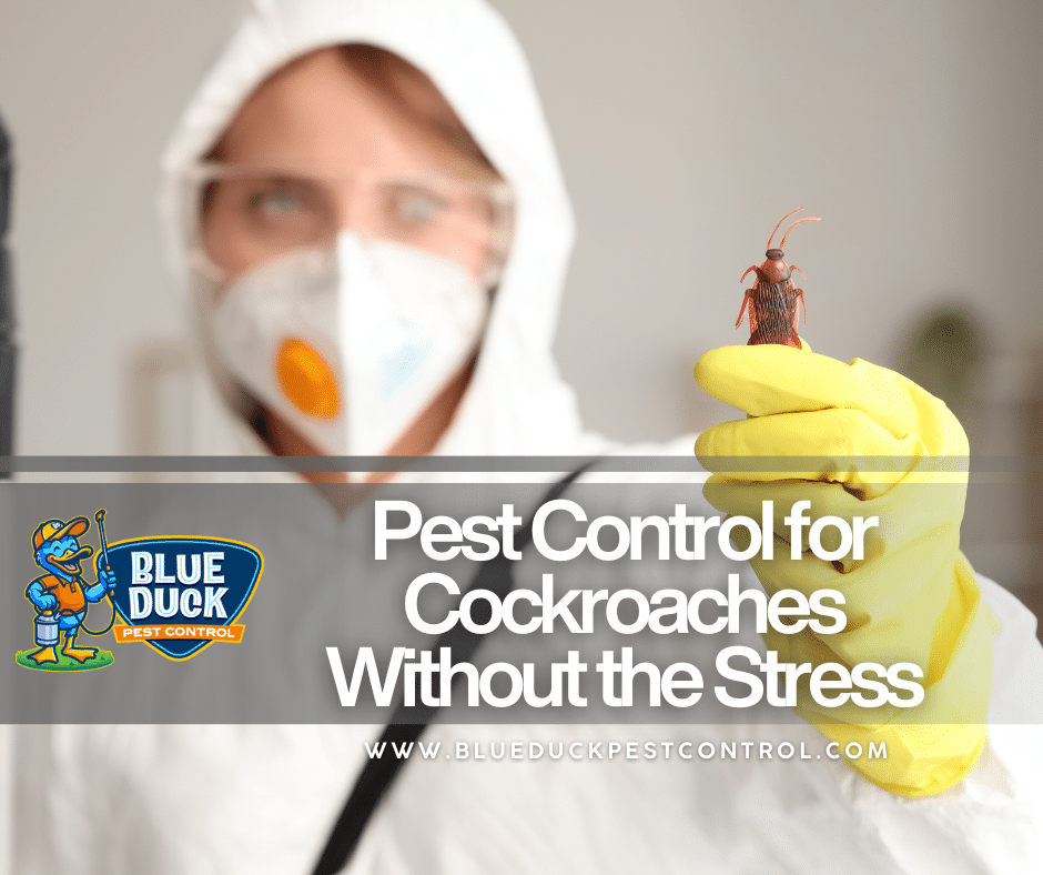 A professional Blue Duck Pest Control technician inspecting a cockroach during expert pest control for cockroaches service in an Indianapolis home.