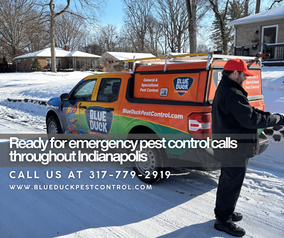 Blue Duck Pest Control technician prepared for emergency pest control response at a moment's notice throughout Indianapolis.