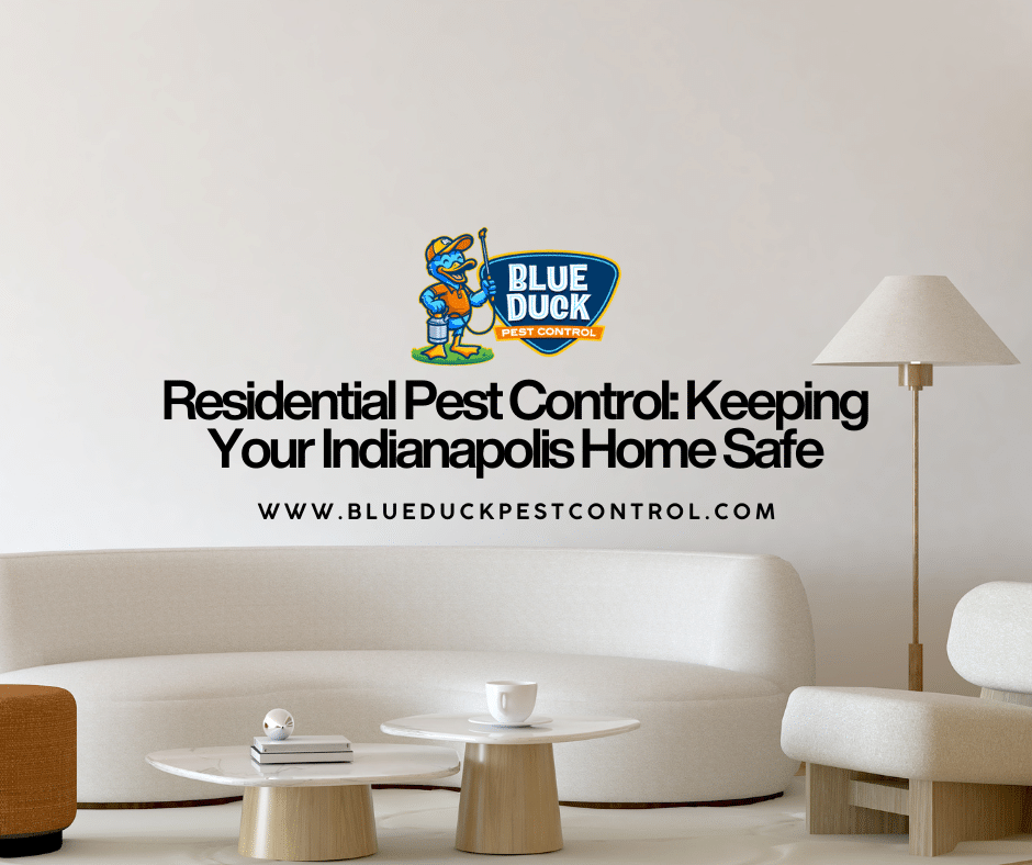 Comfortable living space protected by comprehensive residential pest control by Blue Duck Pest Control in Indianapolis.