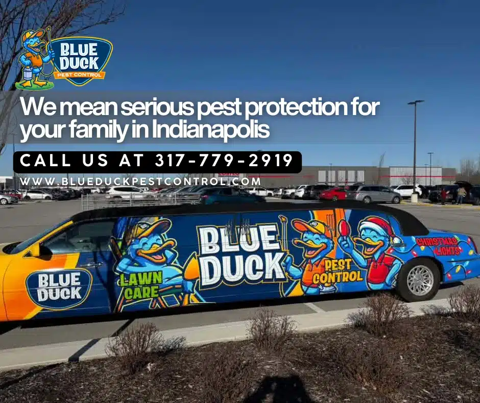 Blue Duck Limo the most memorable pest control vehicle serving Indianapolis families.