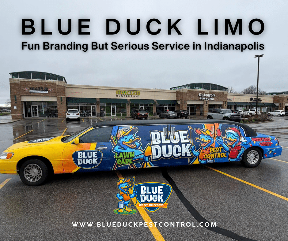 Blue Duck Limo painted with pest control logo rolling through Indianapolis streets.