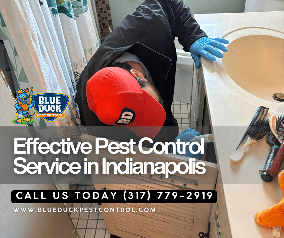 Blue Duck Pest Control technician inspecting cracks and crevices delivering expert pest control in Indianapolis for local families.