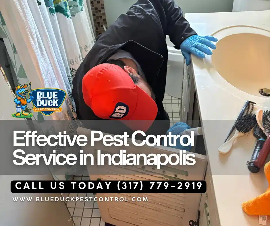 Blue Duck Pest Control technician inspecting cracks and crevices delivering expert pest control in Indianapolis for local families.