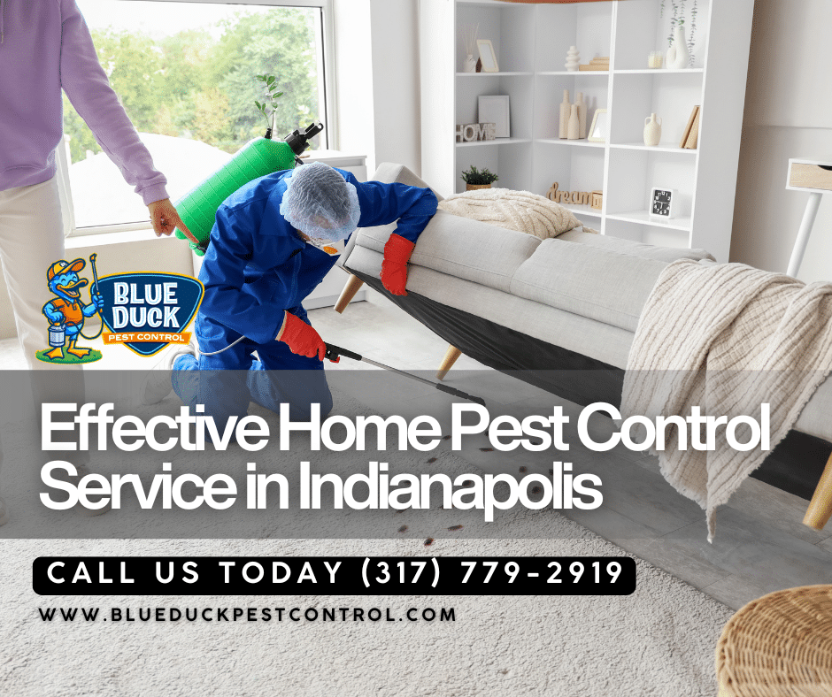 Dedicated Blue Duck Pest Control technician performing thorough home pest control service at Indianapolis residence.