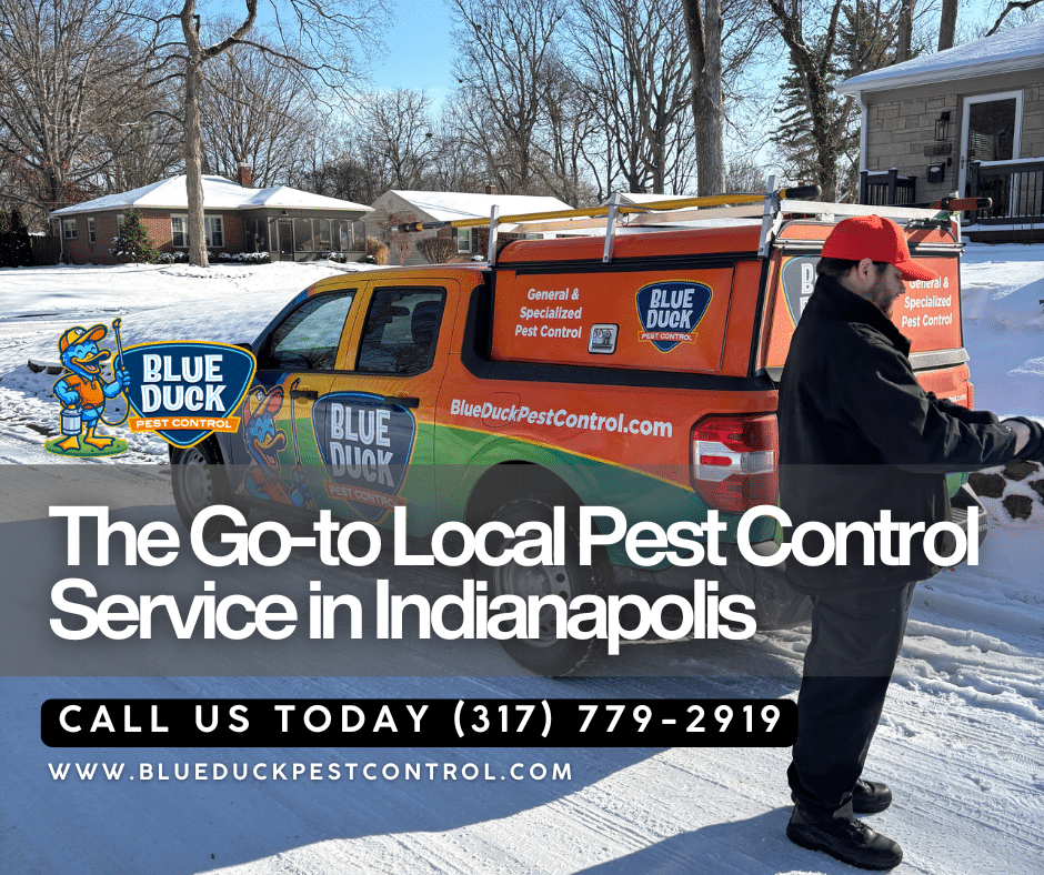Blue Duck technician serving neighbors with reliable local pest control service across Indianapolis.