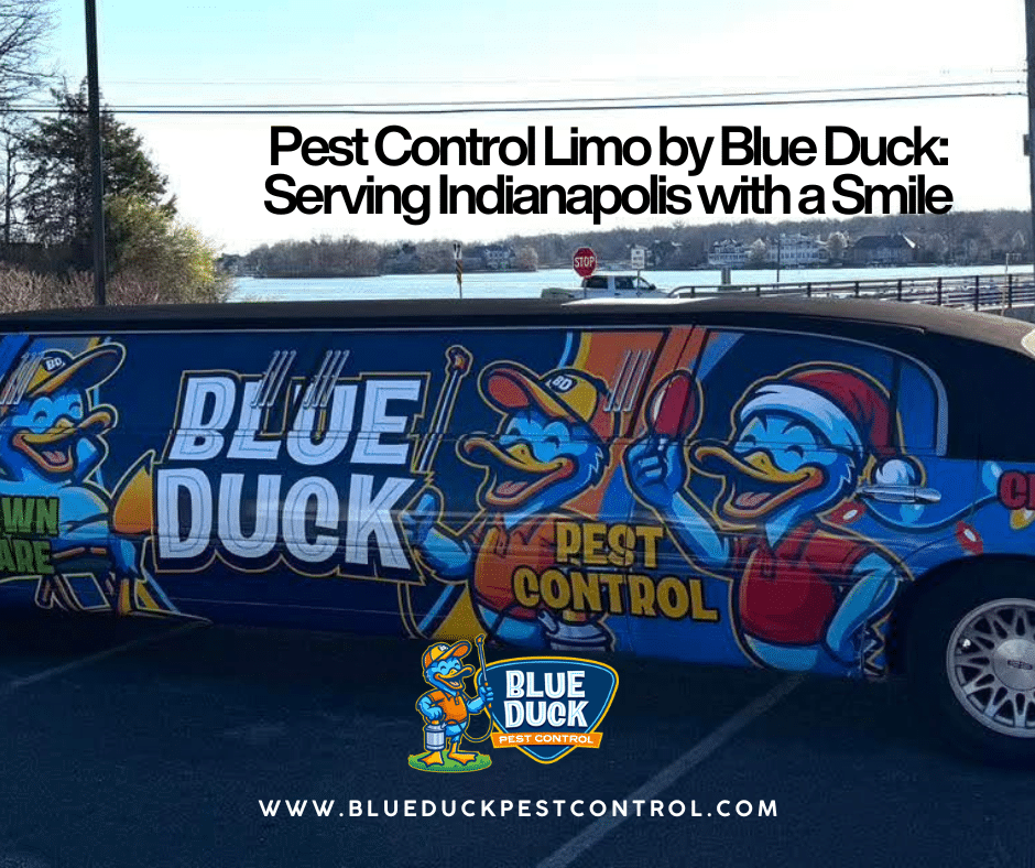Pest control limo of Blue Duck parked and ready to serve Indianapolis homeowners for pest control services.
