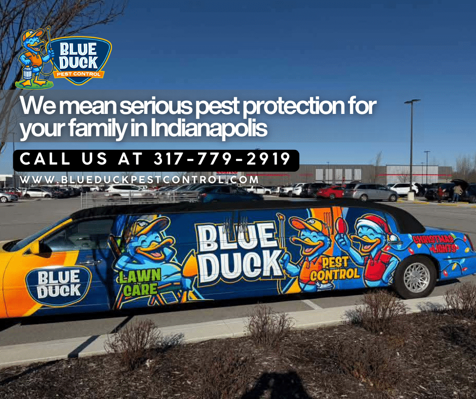 Pest control limo with blue duck logo driving through sunny Indianapolis neighborhood streets.