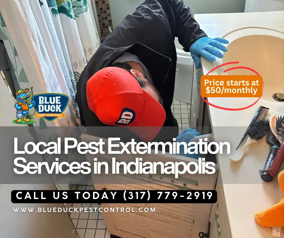 Blue Duck Pest Control technician providing reliable pest control service for Indianapolis families who need consistent protection from pests.