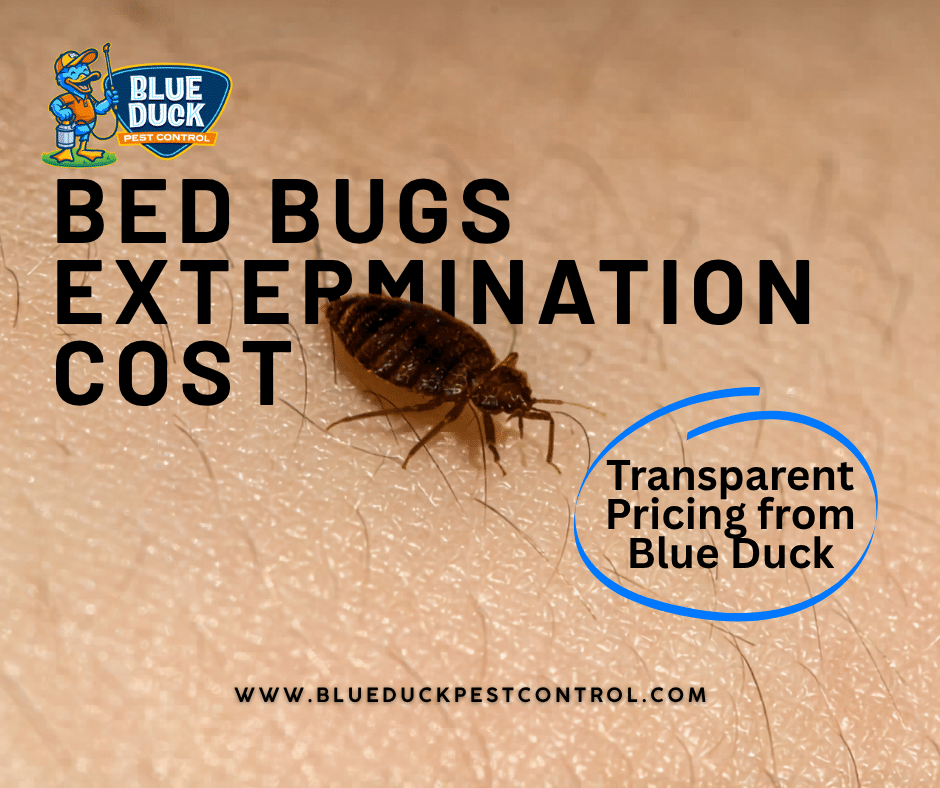 Close up of bed bug on skin showing why professional bed bug extermination cost starting at $750 is worth every dollar for Indianapolis families.