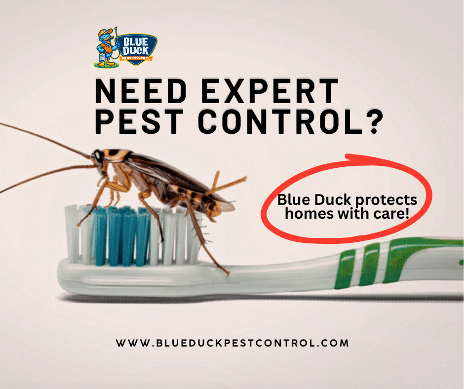 Cockroach on toothbrush showing why expert pest control from Blue Duck is essential for protecting family health in Indianapolis homes.
