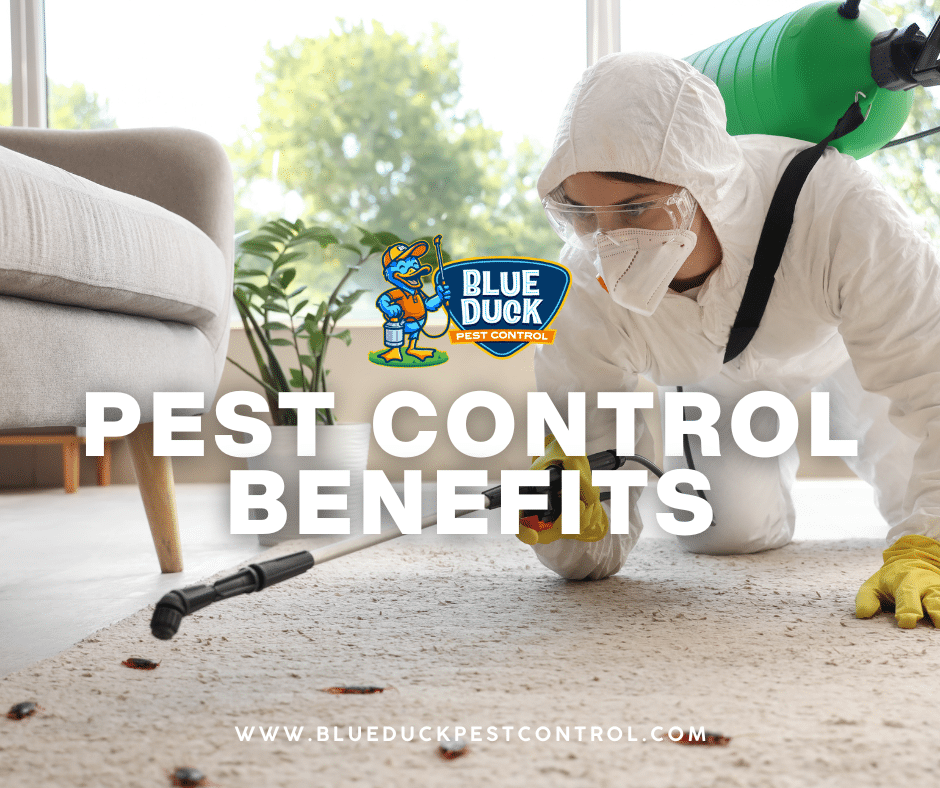 Skilled Blue Duck Pest Control technician applying targeted treatment highlighting pest control benefits for Indianapolis homeowners.