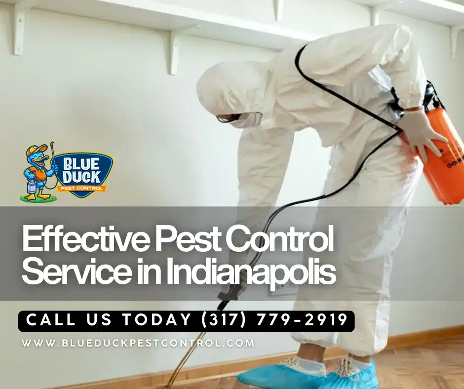 Blue Duck Pest Control professional technician inspecting cracks demonstrating pest control benefits for Indianapolis homeowners such as preventing structural damage.