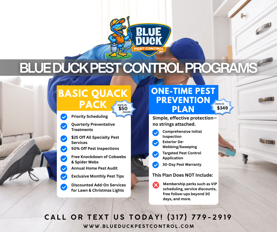 Blue Duck Pest Control Quack Pack membership program in Indianapolis showing pest control cost monthly starting at 50 dollars with exclusive perks.