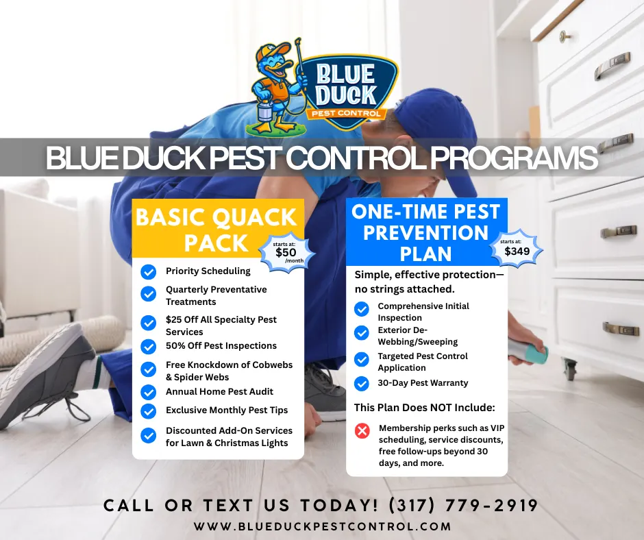 Blue Duck Pest Control Quack Pack membership program in Indianapolis showing pest control cost monthly starting at 50 dollars with exclusive perks.