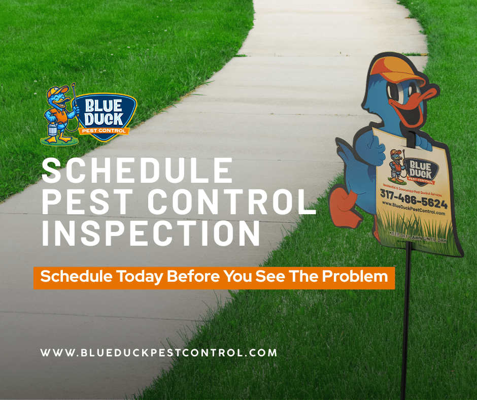 Pest control yard sign placed on a lawn of a home in Indianapolis with phone number encouraging viewers to schedule pest control inspection with Blue Duck Pest Control.