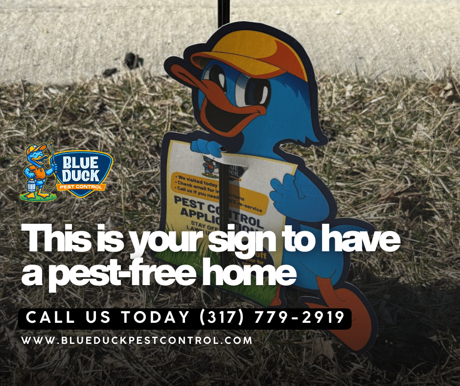 Blue Duck pest control yard sign inviting Indiana homeowners to learn termite inspection cost starting at 97 dollars.