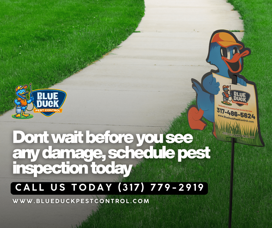 Blue Duck pest control yard sign reminding Indianapolis neighbors why pest control is essential for protecting homes and businesses.