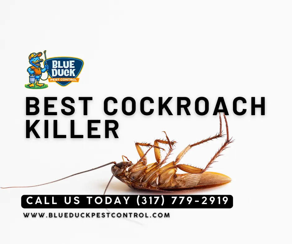 Dead cockroach on the floor eliminated by Blue Duck Pest Control addressing the question "can roaches live in appliances?" and protecting family health in Indianapolis, Indiana.