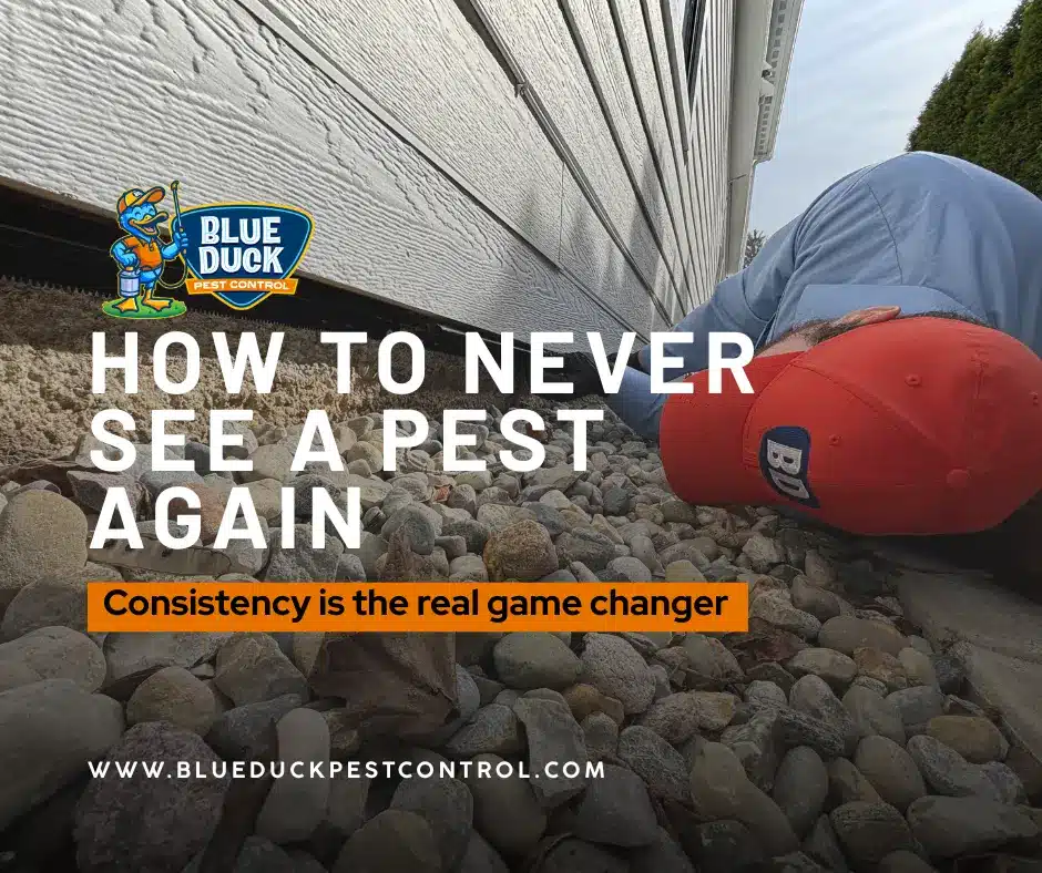 Skilled Blue Duck Pest Control technician sealing entry points proving how to never see a pest again with professional exclusion work.