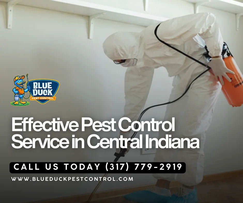 Dedicated Blue Duck pest control technician checking baseboards and entry points to protect families residing in Carmel, Indiana.