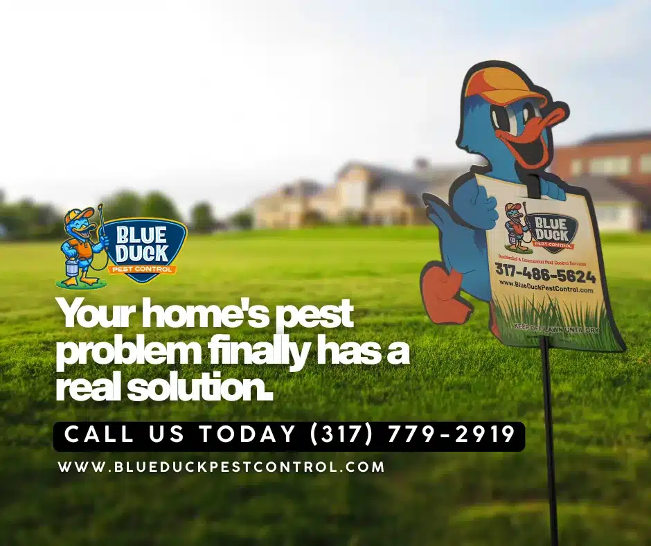Blue Duck Pest Control yard sign showing professional pest extermination has protected this Indianapolis home.
