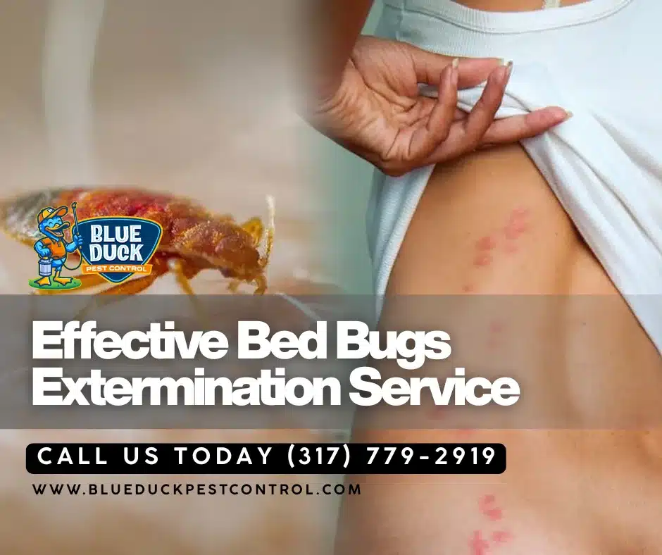 Bed bug biting skin proving why early bed bugs infestation detection matters for Indianapolis homes.