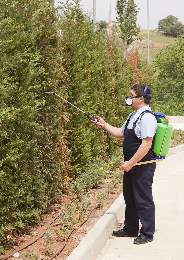 commercial pest control Indianapolis