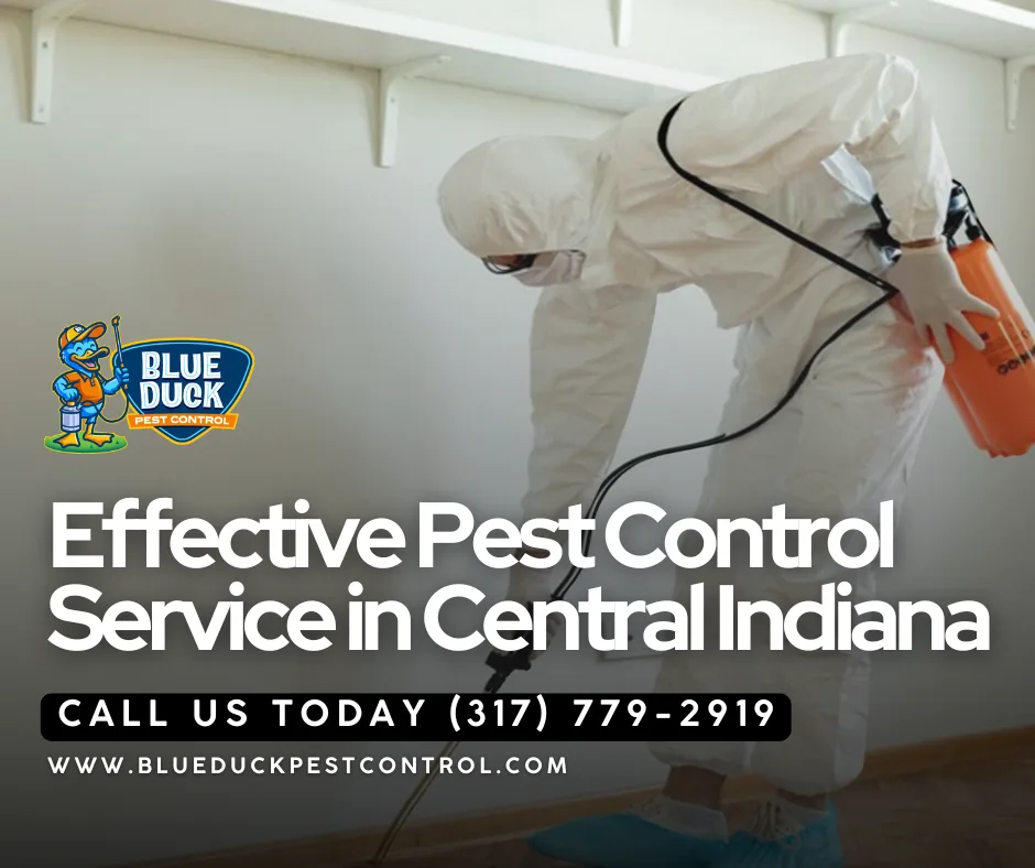Indianapolis pest control expert treating home against pests to help families struggling with pests at home gain their peace of mind back.