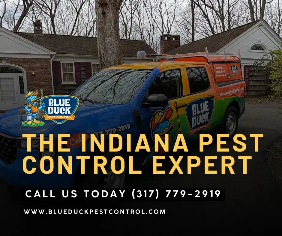 Blue Duck Pest Control technician providing the best pest control service in Indianapolis with guaranteed results.