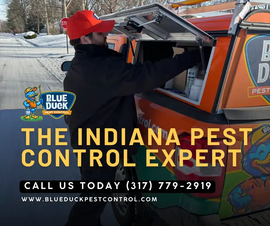 Blue Duck Pest Control technician gearing up to solve an Indianapolis homeowner's question "why do pests keep coming back?"