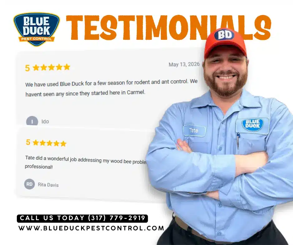Indianapolis pest control expert from Blue Duck with 5-star reviews and happy customer feedback