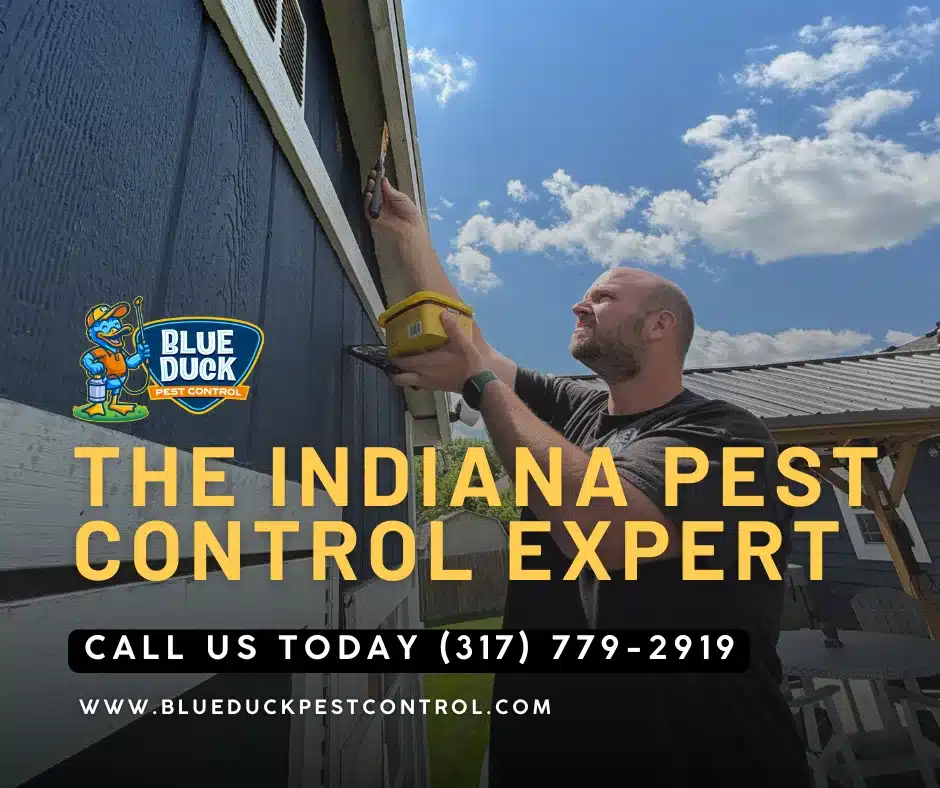 Blue Duck Pest Control technician eliminating bees and wasps nest as part of professional pest control service in Indianapolis