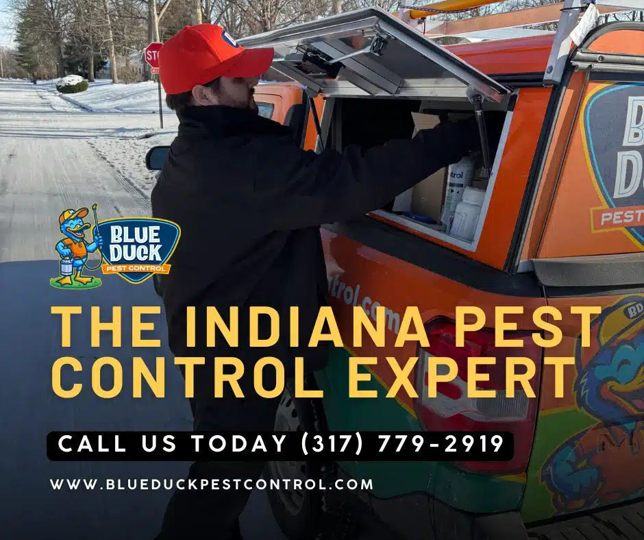 Blue Duck pest control expert preparing equipment for when to call pest control in Indianapolis homes