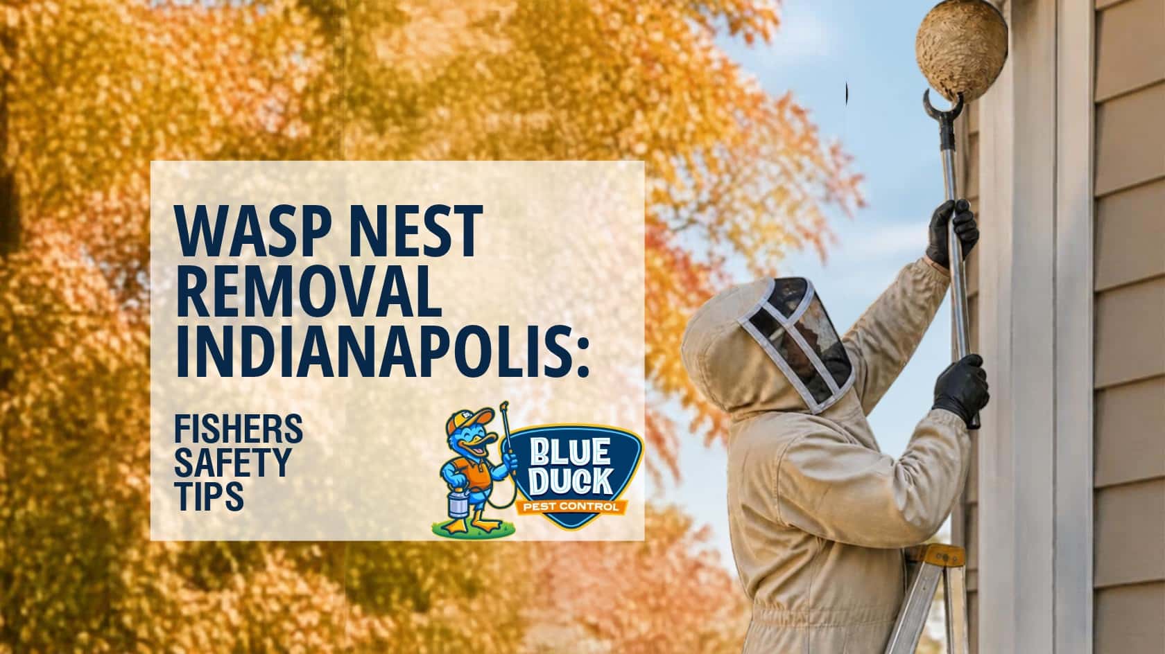 Wasp nest removal Indianapolis homeowners may need for an active wasp nest near a Fishers, Indiana home, highlighting the importance of safe, professional removal.
